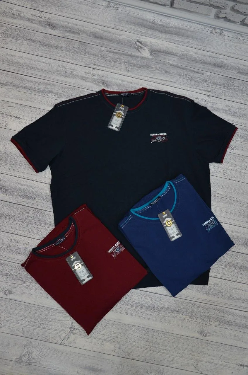 Чоловіча футболка Red Dоwn 5786 Big на резинці - Зображення 5